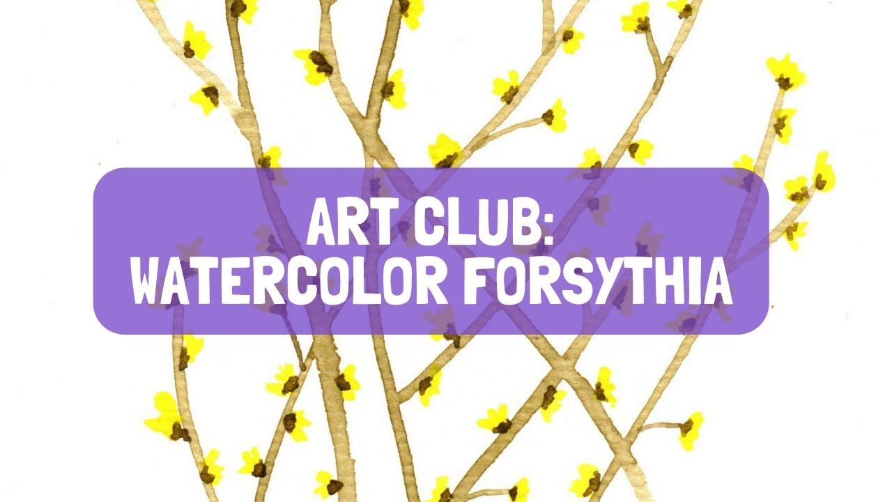 Watercolor Forsythia Opens in new window